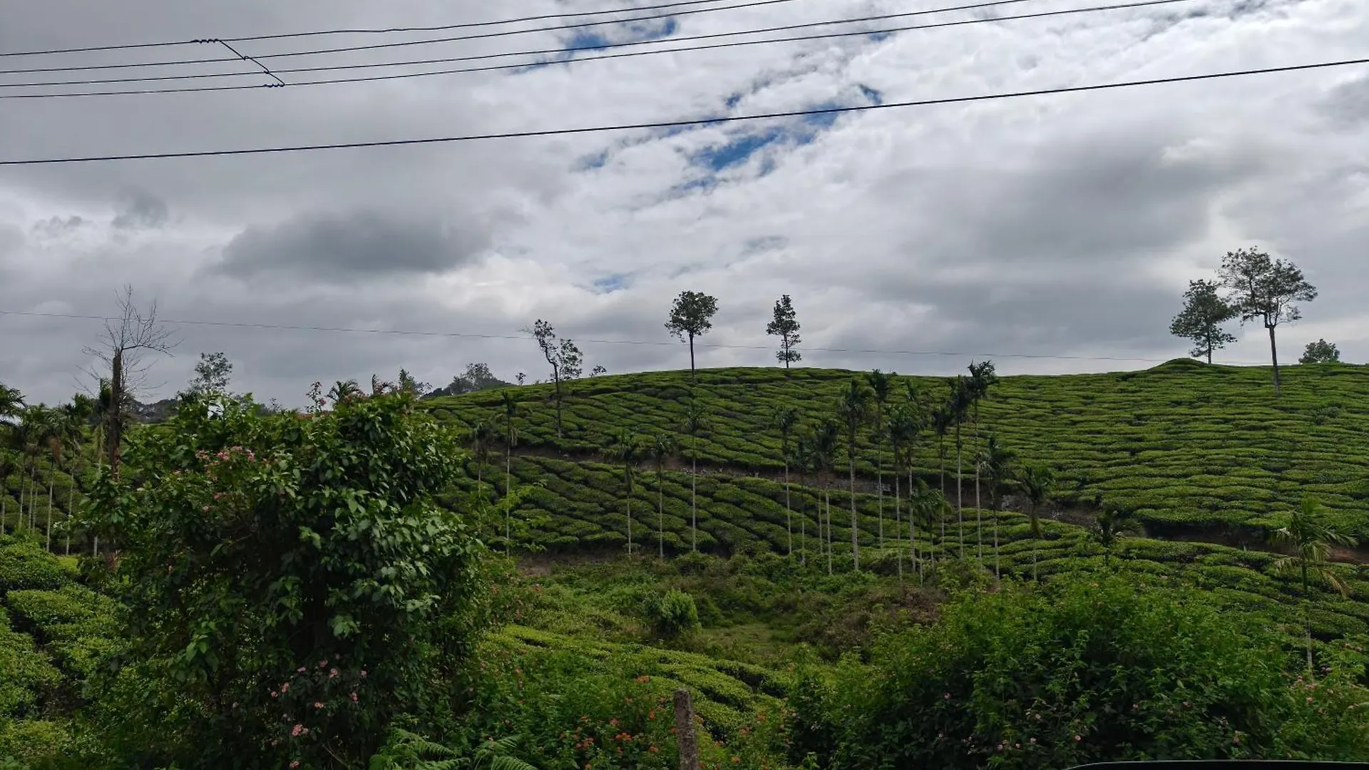 Periyaarhills Thekkady Apartment