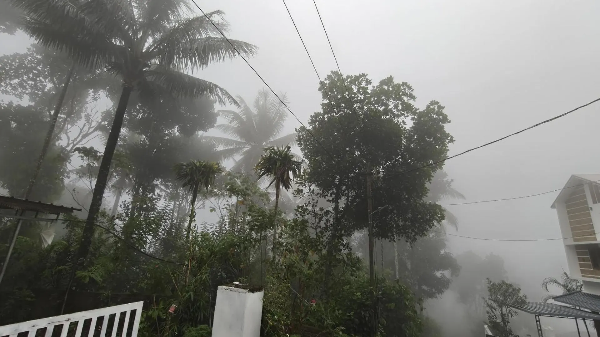 Periyaarhills Thekkady Apartment